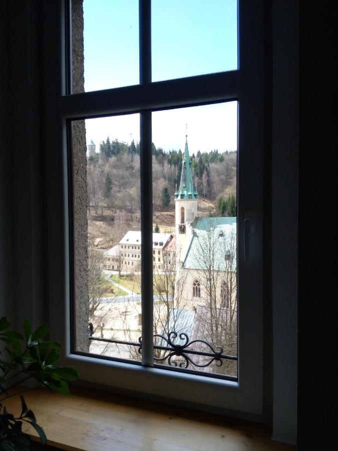 Apartman Albreit 1 Jáchymov Exterior photo