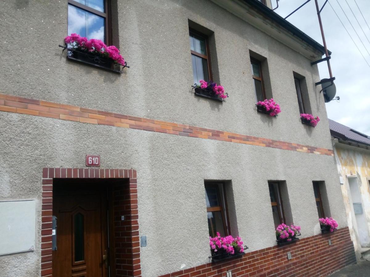 Apartman Albreit 1 Jáchymov Exterior photo